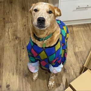 Meet your Posher, Ruby